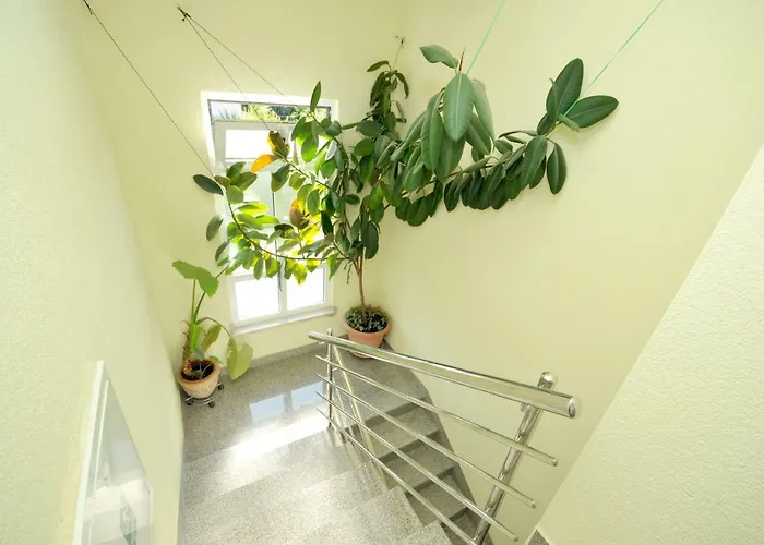 Drasko