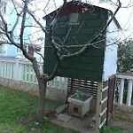 Drasko *